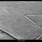 las líneas de Nazca