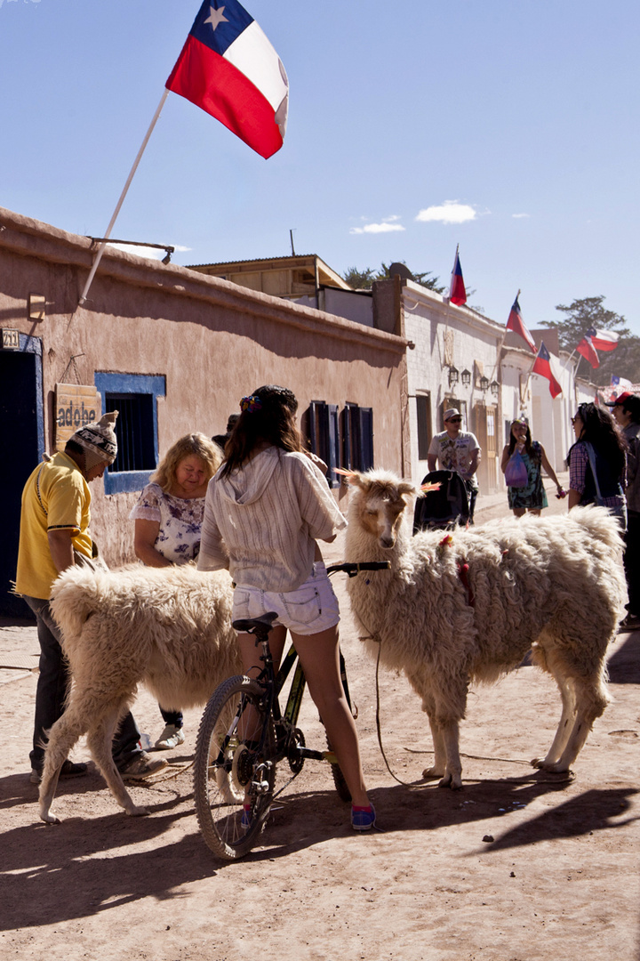 Las llamas también sienten