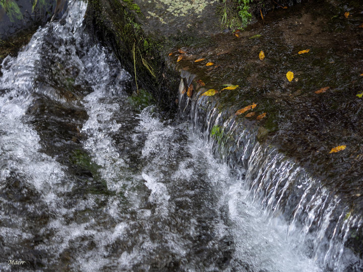 Las lluvias de Noviembre se ven en Diciembre.