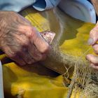 LAS MANOS DEL PESCADOR ( EL MAR Y EL TIEMPO )