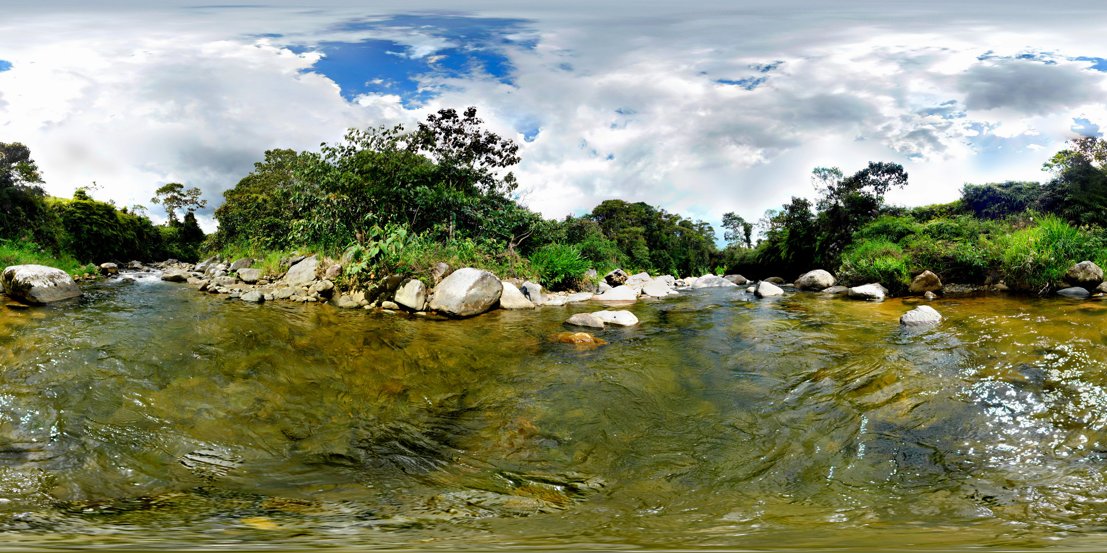 Las marcadas. Risaralda - Colombia