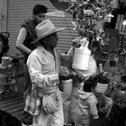 las mariposas quieren volar