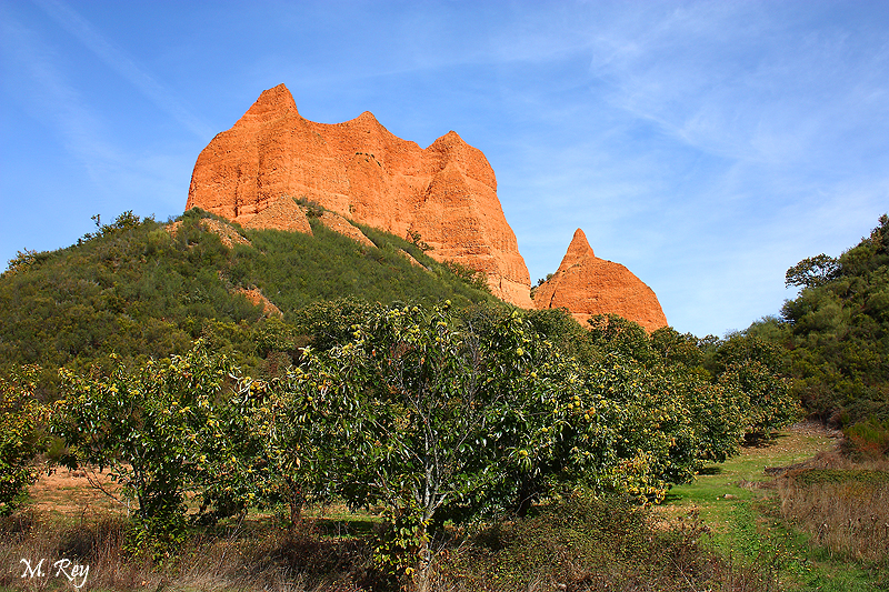 LAS MÉDULAS