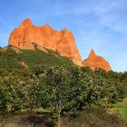 LAS MÉDULAS