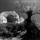 LAS MÉDULAS .  León