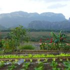 Las Mogotes,  Valle de Viñales 2