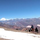 Las mulas y el Aconcagua - Mules and Aconcagua