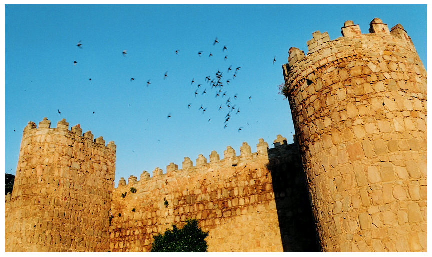 Las Murallas de Ávila, 2