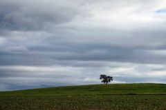 Las nubes