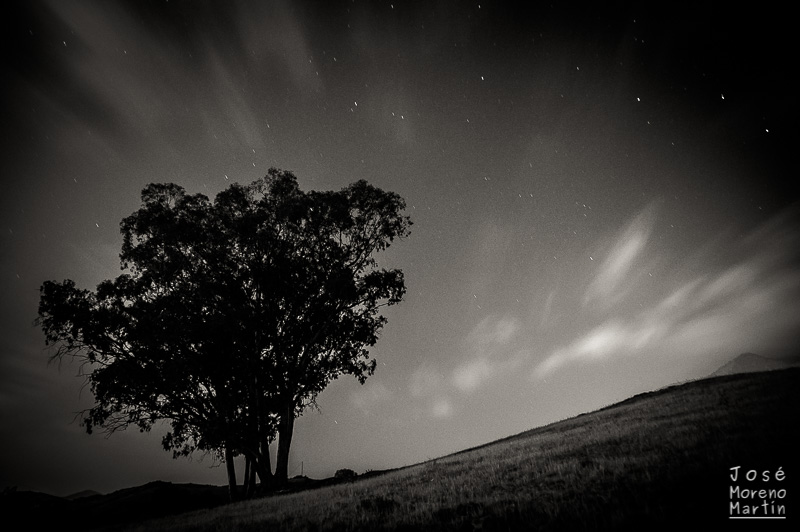 Las nubes de las Perseidas