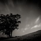 Las nubes de las Perseidas