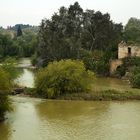 LAS PAJARERAS DE LOS SOTOS DEL RIO GUADALQUIVIR