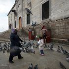 ...las palomas de Istanbul...