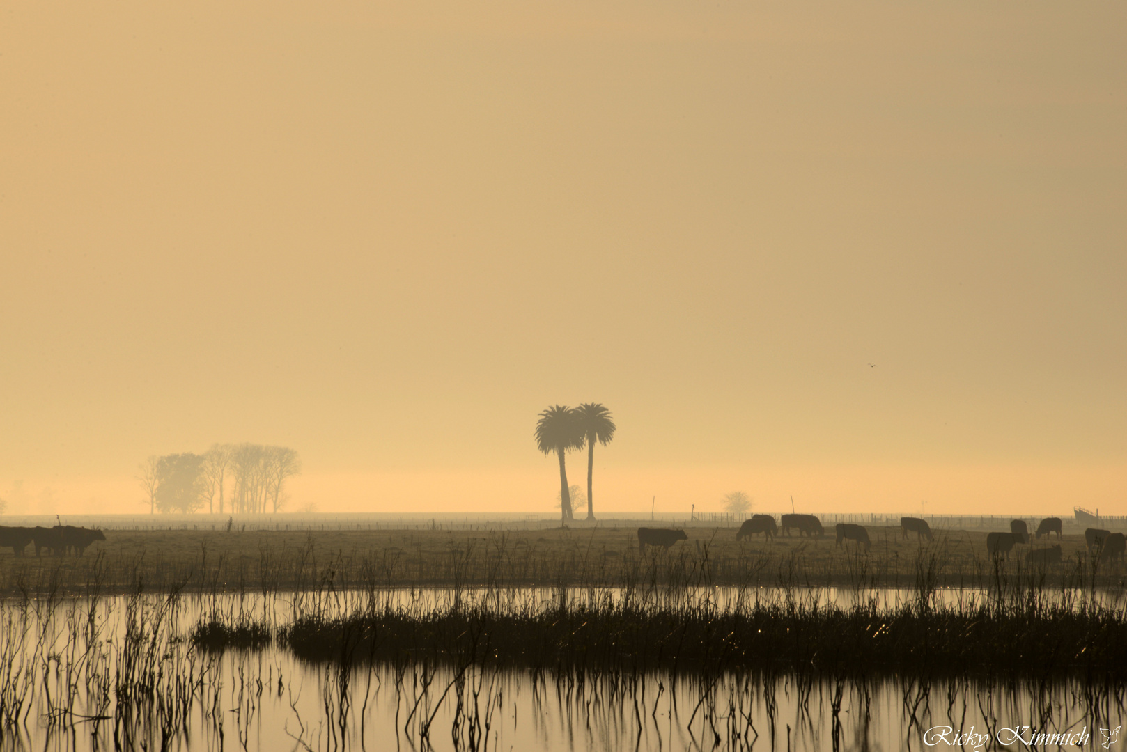 Las Pampas ...al amanecer 