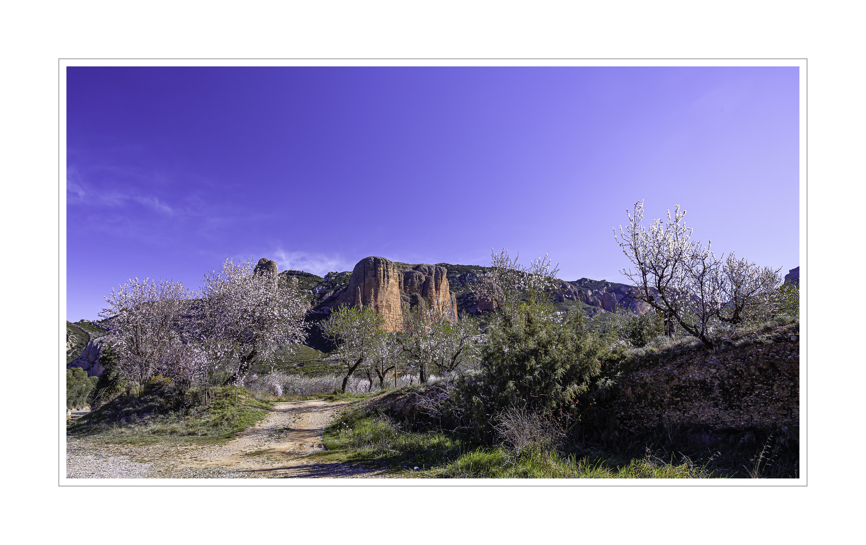 Las peñas de Riglos y los almendros