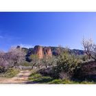 Las peñas de Riglos y los almendros