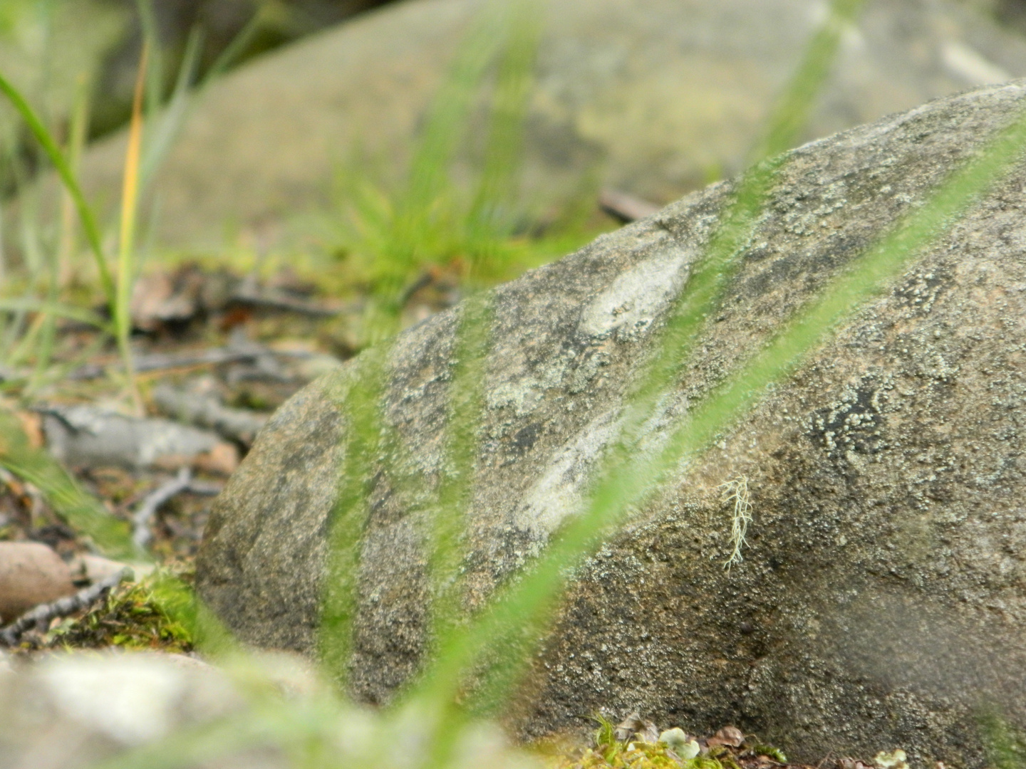 Las piedras, Ushuaia