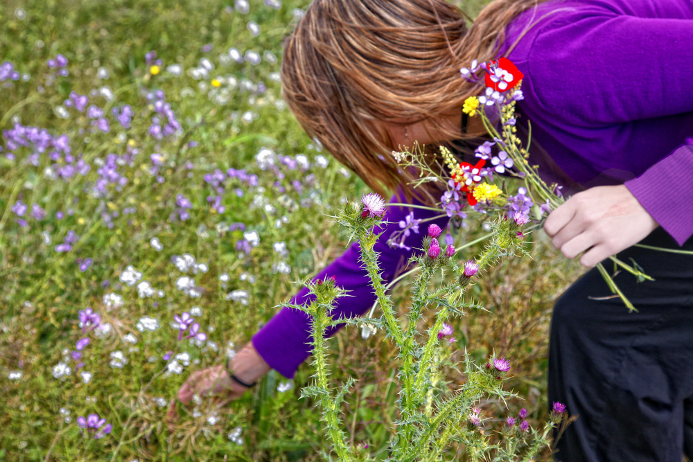 LAS PRIMERAS FLORES