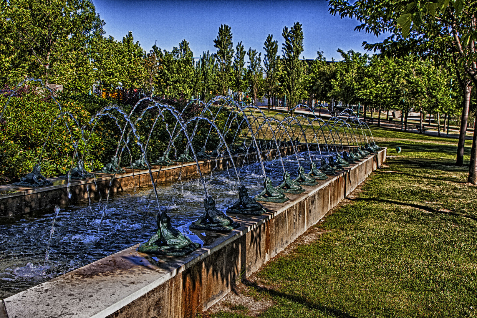 LAS RANAS DEL PARQUE