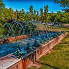 LAS RANAS DEL PARQUE