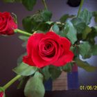 Las rosas rojas