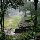 Las Ruinas de Ranas I