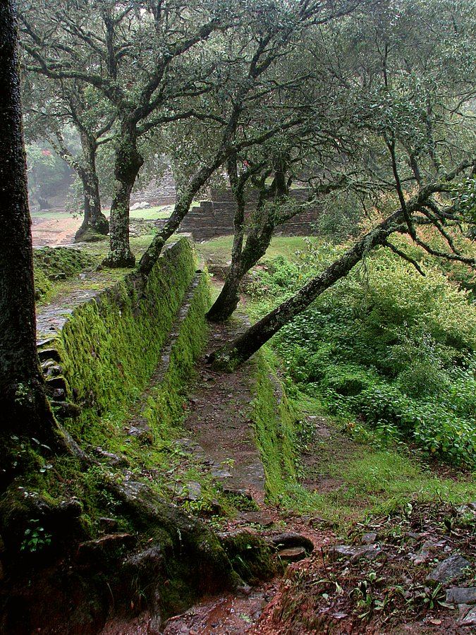 Las Ruinas de Ranas II