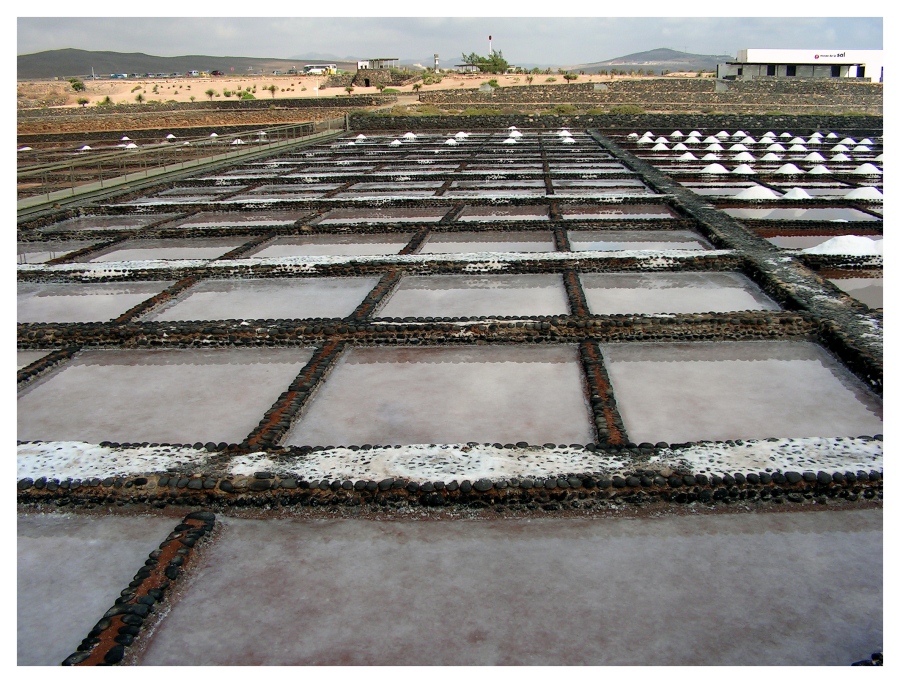 Las Salinas del Carmen - Museo de la Sal