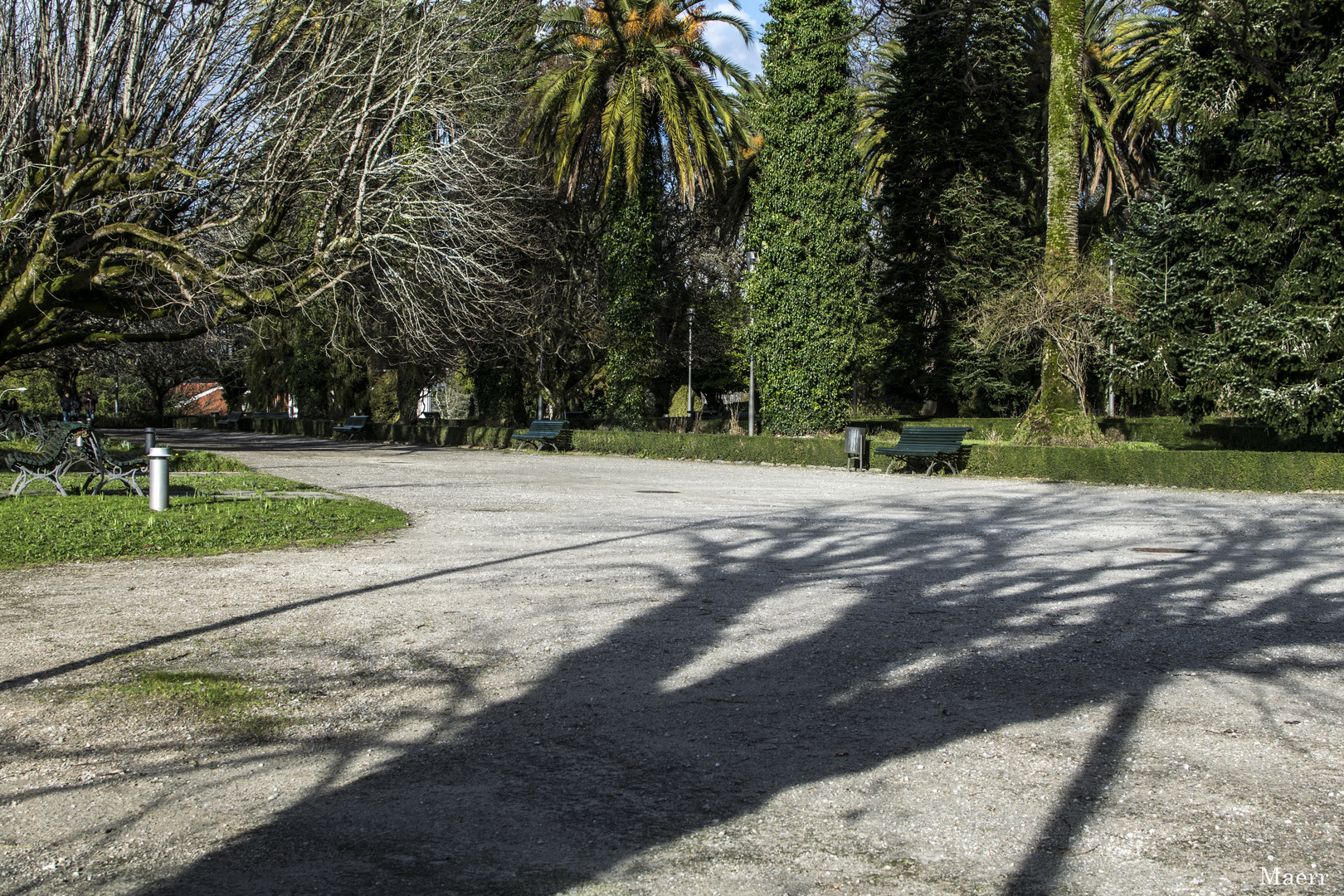 Las sombras de la tarde son alargadas