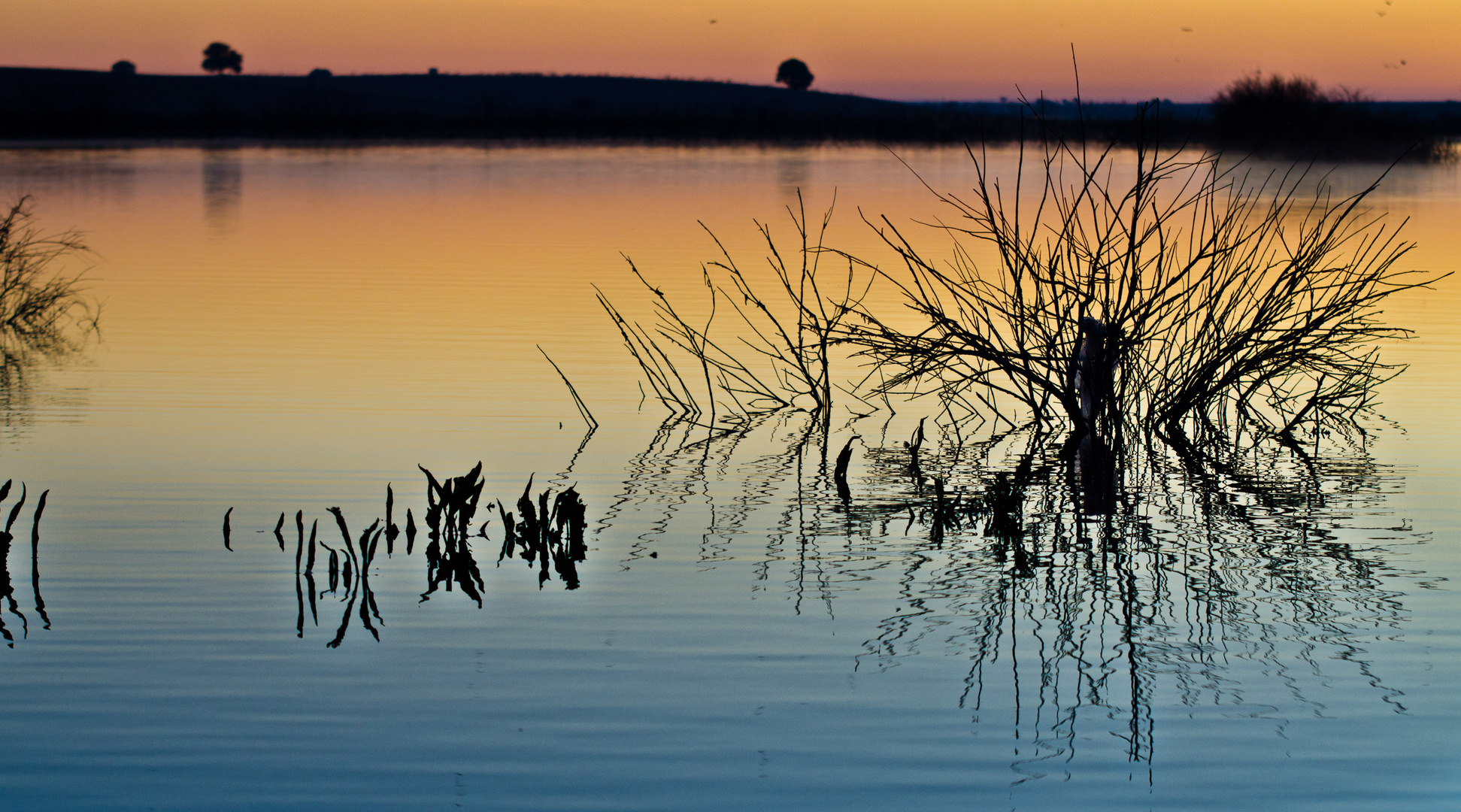 Las Tablas de Daimiel