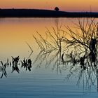 Las Tablas de Daimiel