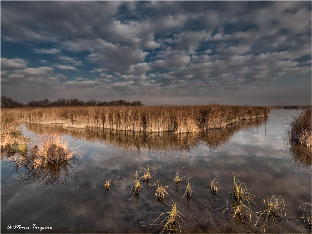 Las Tablas de Daimiel.