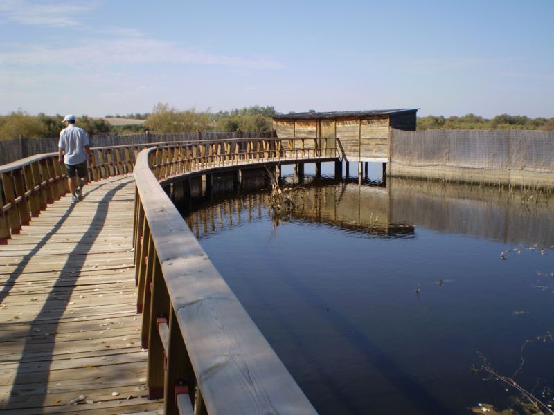 Las Tablas de Daimiel in Castilla La Mancha, Spain