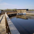 Las Tablas de Daimiel in Castilla La Mancha, Spain