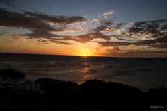 LAS TARDES DE PAEZ VILARO EN CASA PUEBLO II