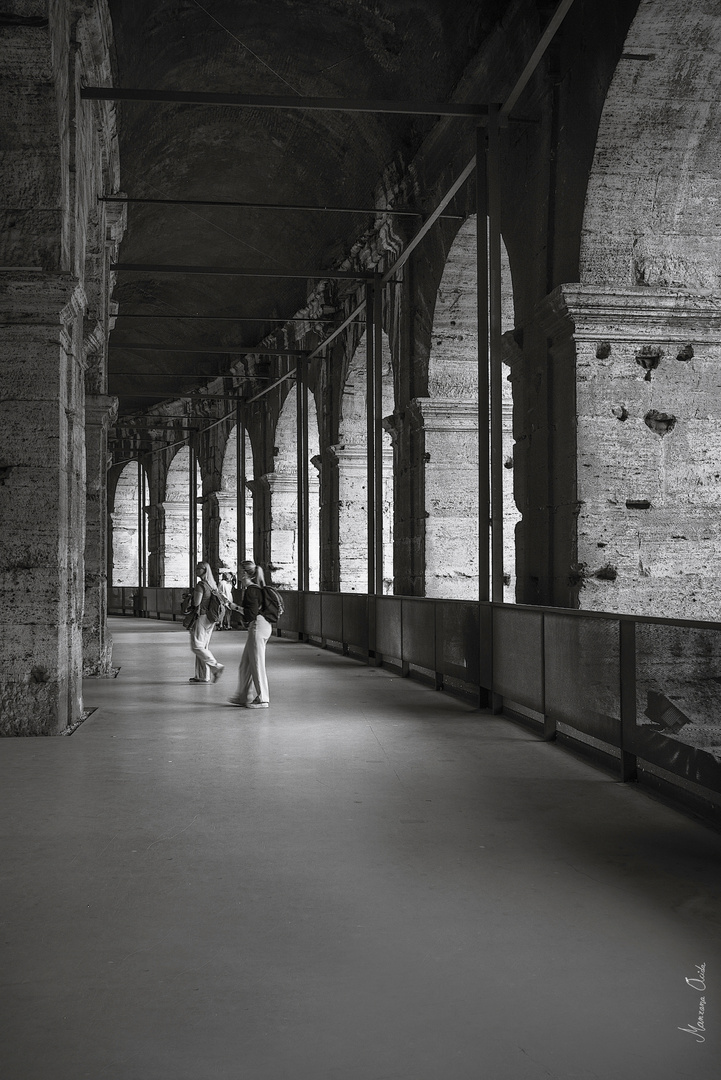 Las Tripas Del Colosseo…