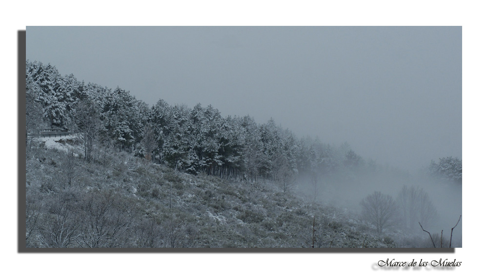 Las ultimas nieves...3