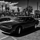 Las Vegas, DuB High Contrast Dodge :)