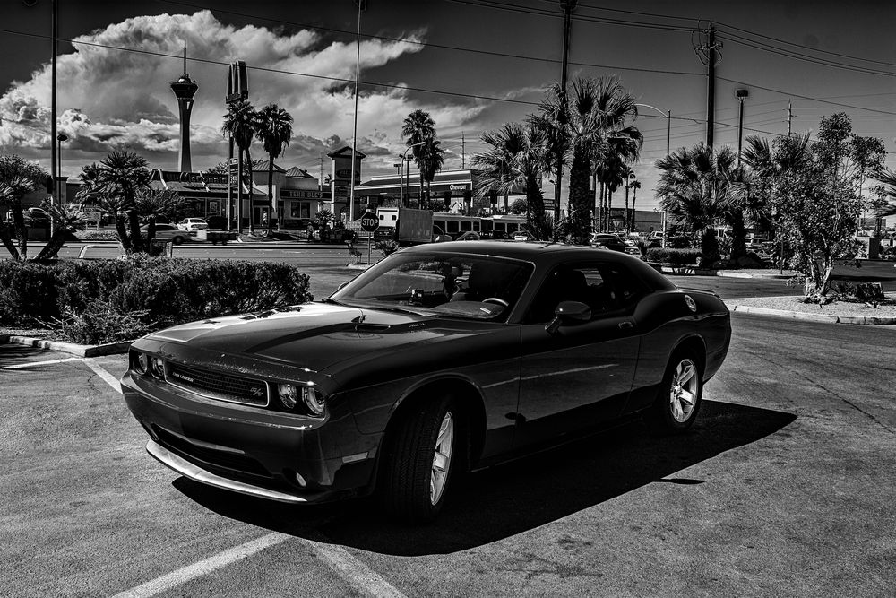 Las Vegas, DuB High Contrast Dodge :)