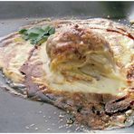 Lasagne mit Wildtaube