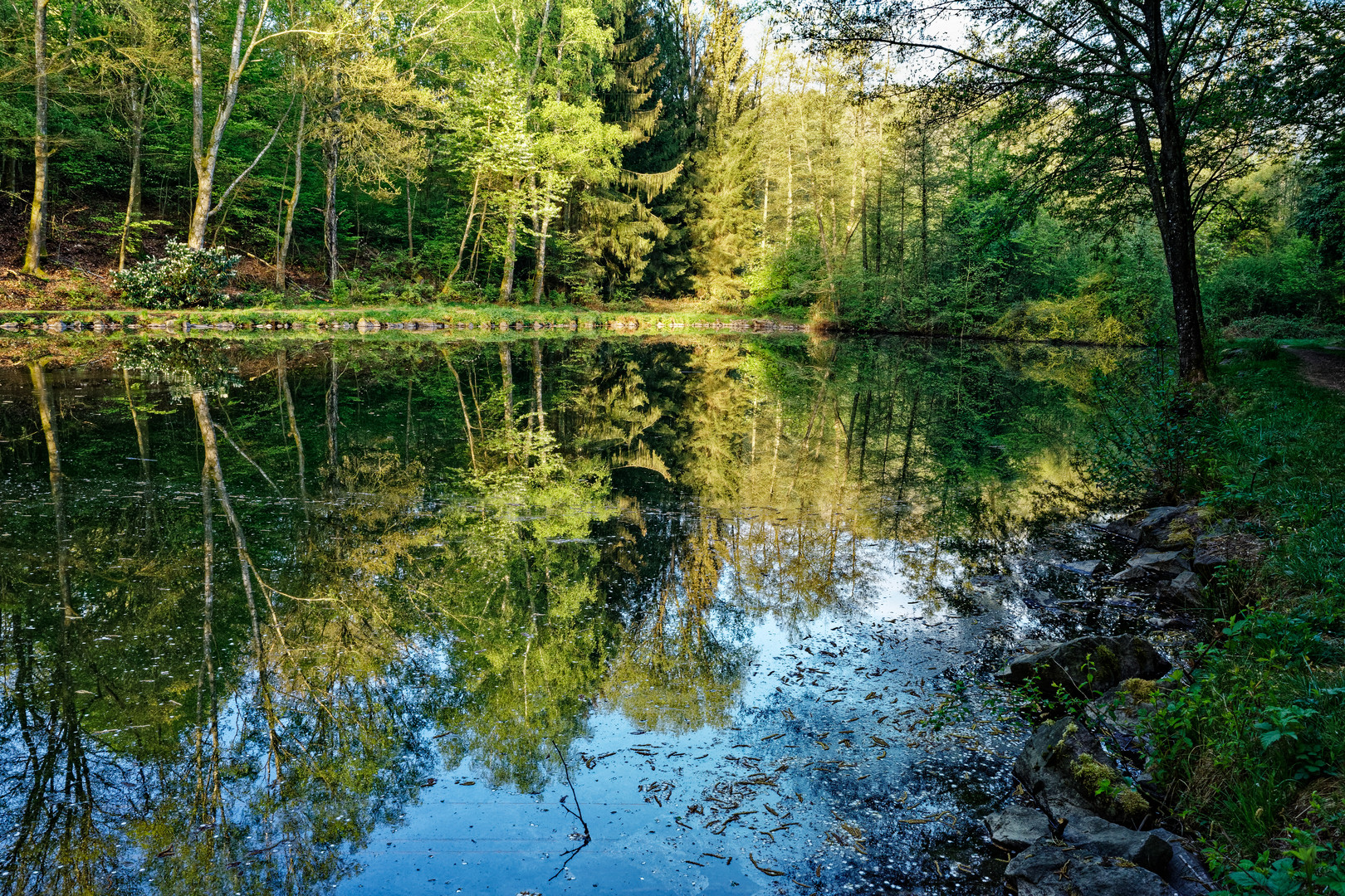 Lasbachteich im Frühling