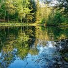 Lasbachteich im Frühling