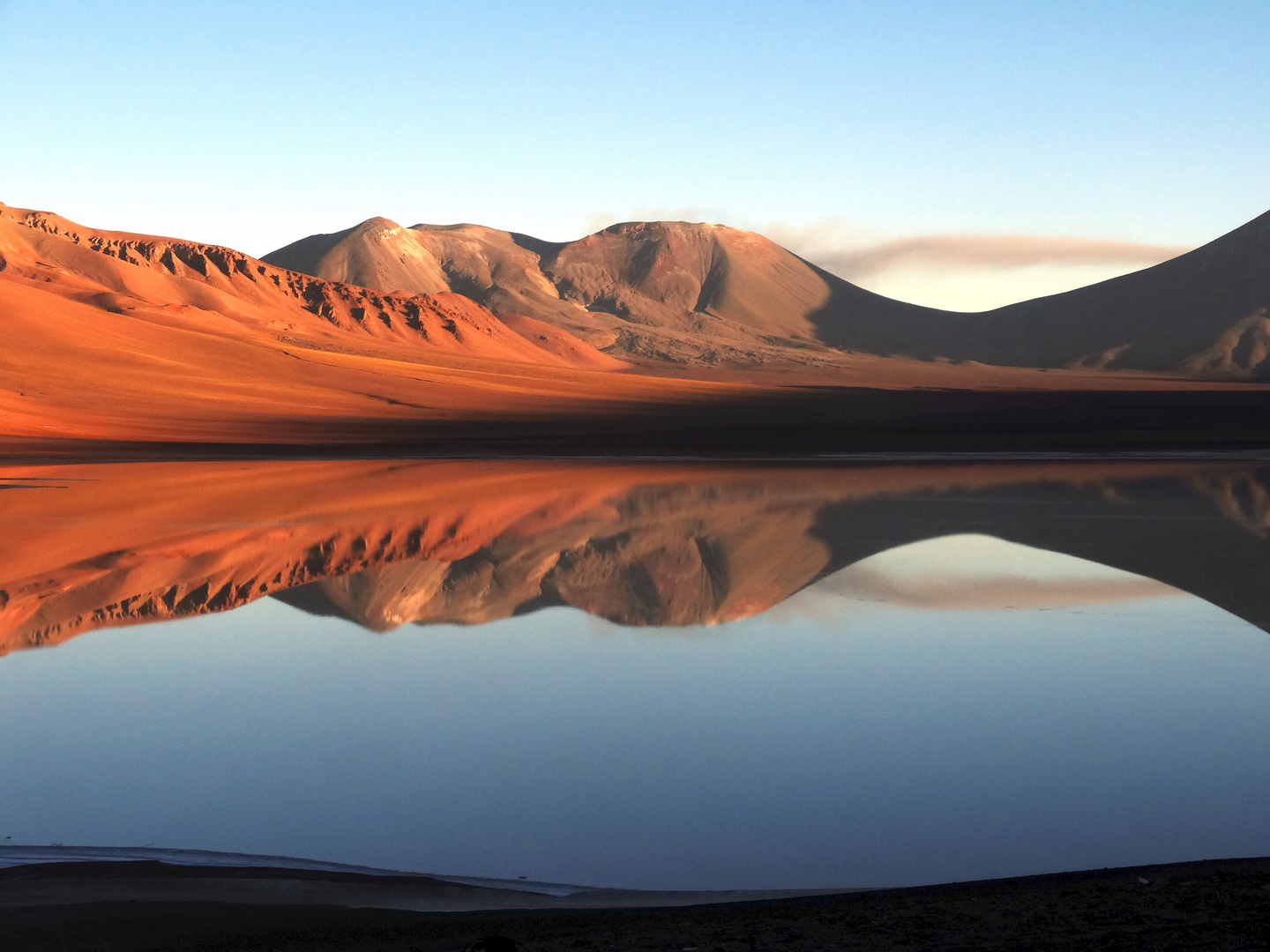 Lascar als Spiegelung in der Salzlagune Lejia