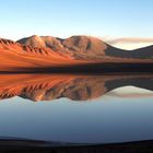 Lascar als Spiegelung in der Salzlagune Lejia