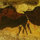 lascaux