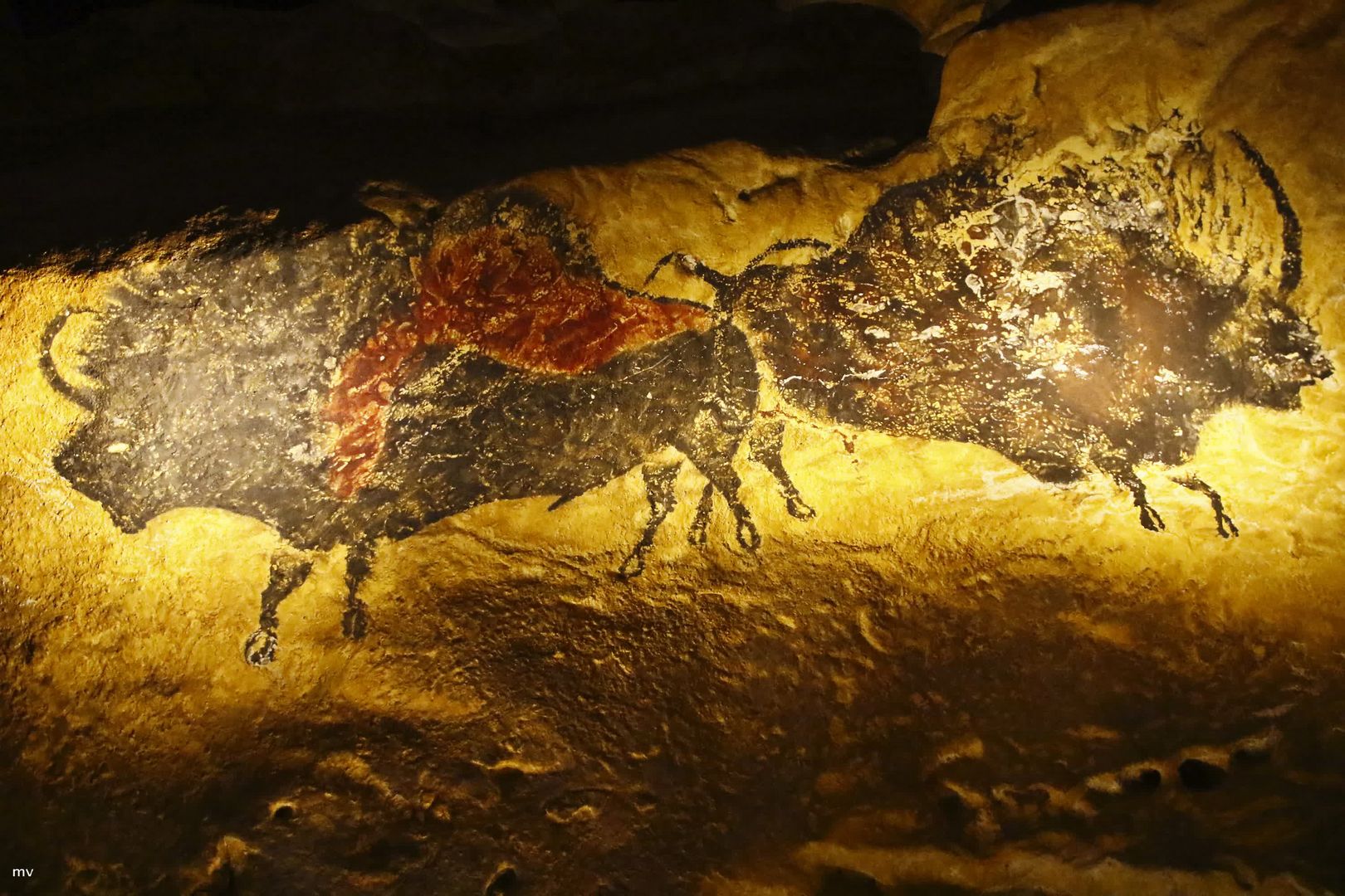 Lascaux Foto & Bild Bilder auf
