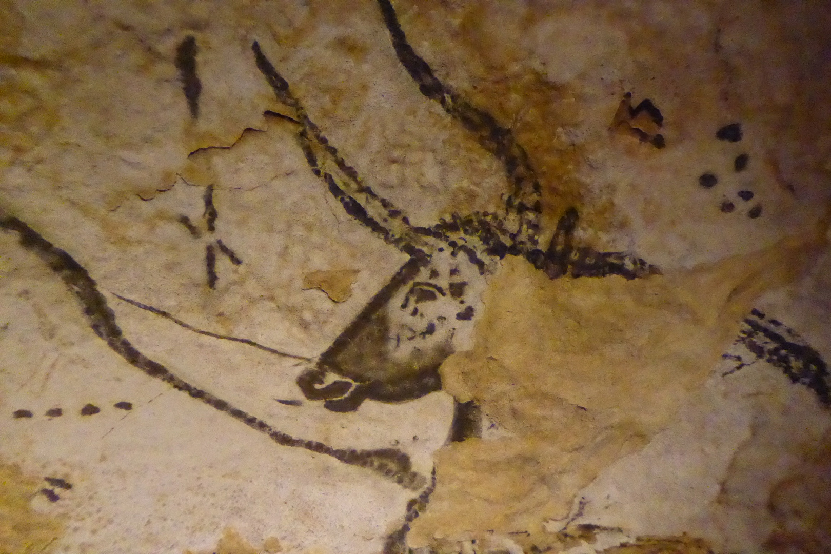 Lascaux