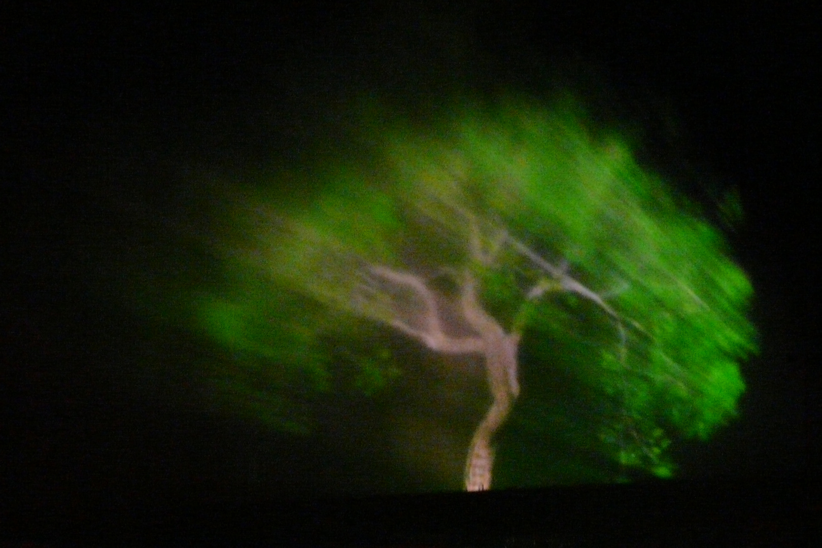 Laser- Baum