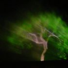 Laser- Baum