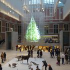 Laserinstallation in der Halle des Rijksmuseums